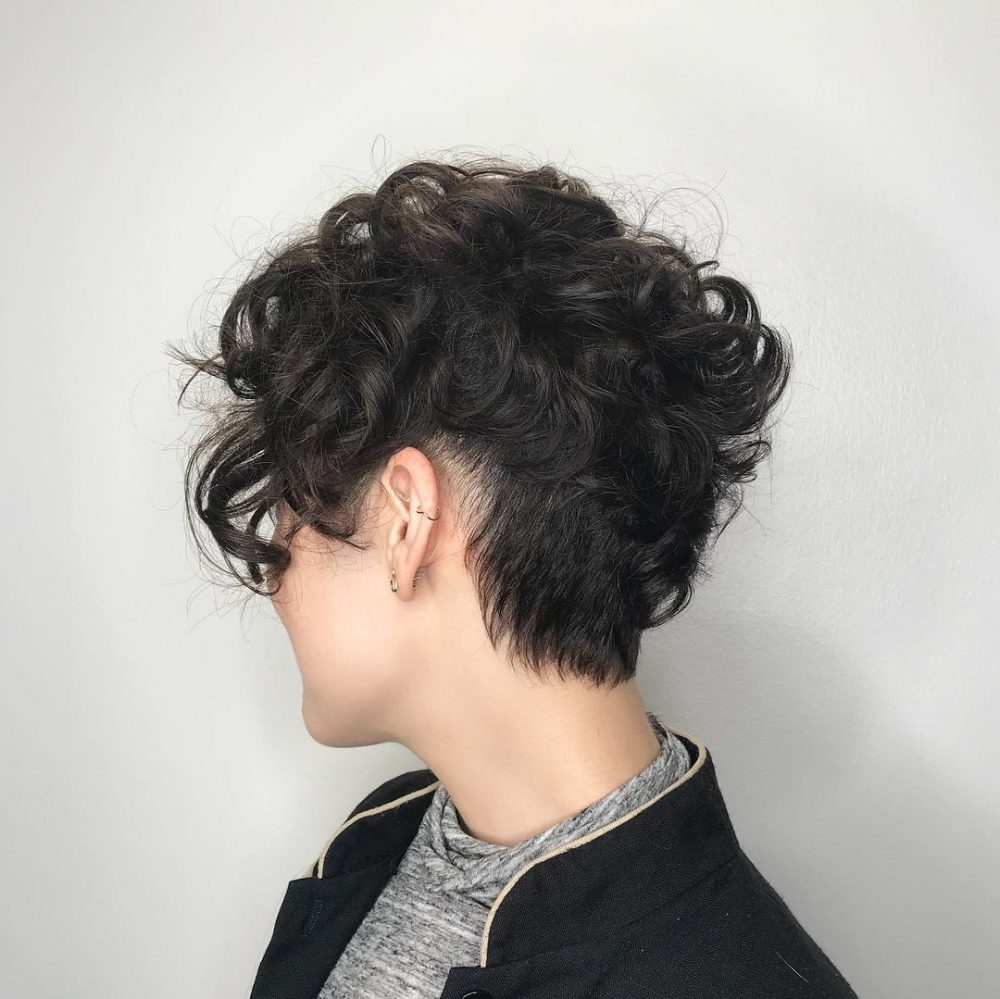 21 Cutest Curly Pixie Cuts for Curly Haired Girls Hairstyles VIP