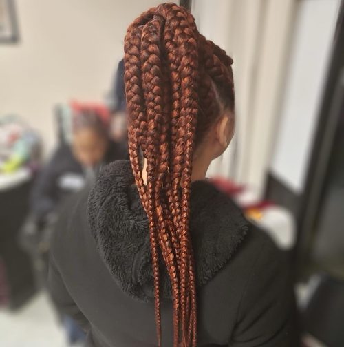 Here are 15 Hot Examples of Red Box Braids